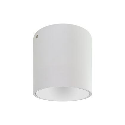 015-036-0003 SALSA-XL Спот Цилиндер 1*GU10